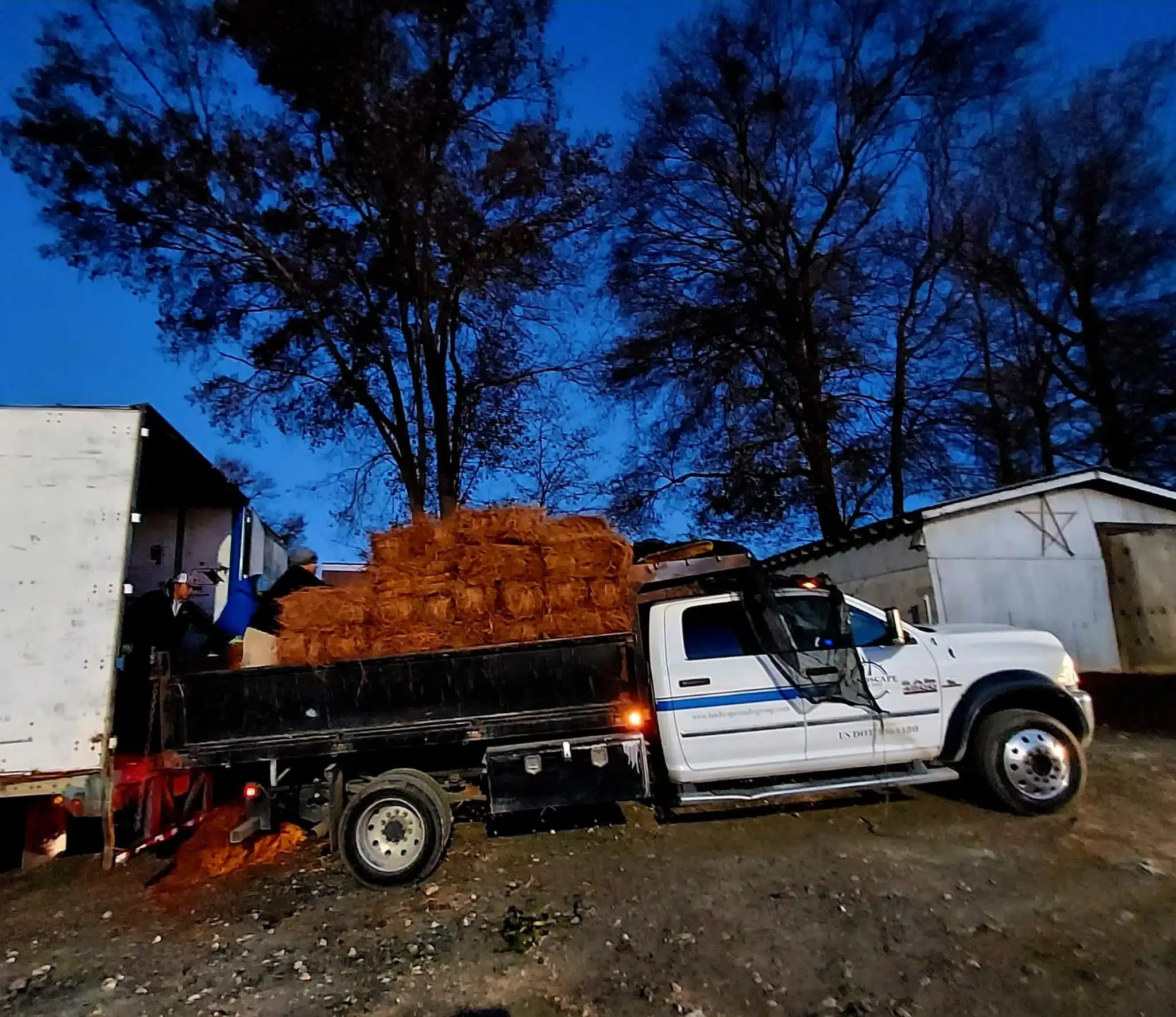 Enhancing Landscapes with the Elegance of Long Needle Pine Straw from