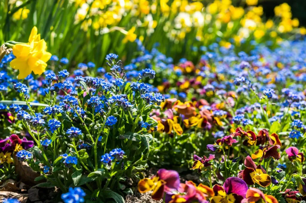 photo of assorted color flowers at daytime