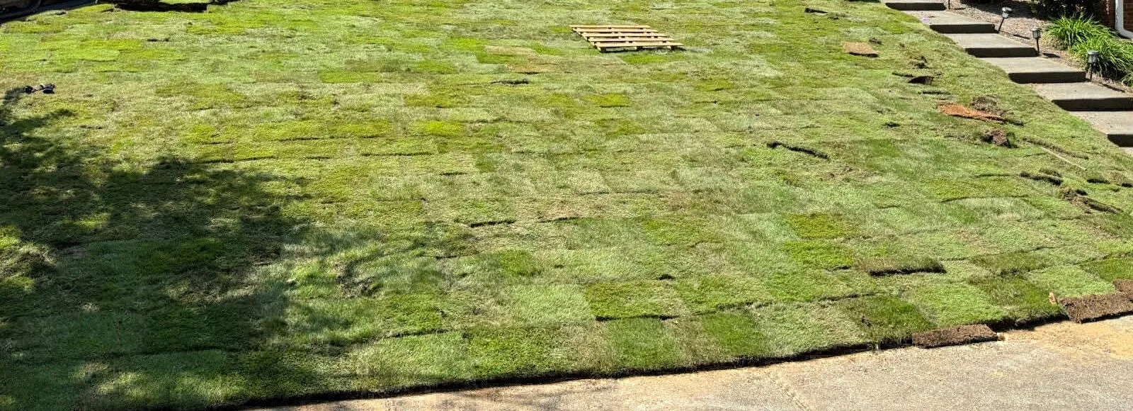 best sod in Atlanta