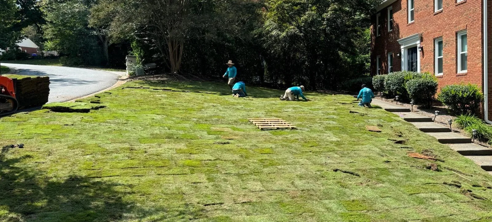 Sod near Atlanta