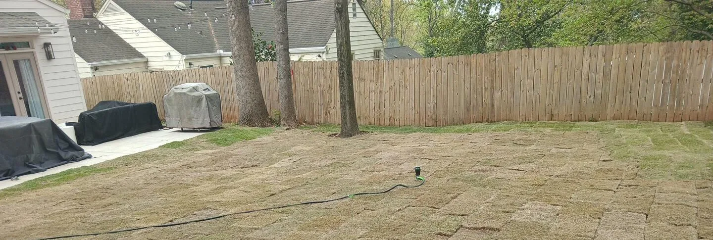 Roswell sod supplier