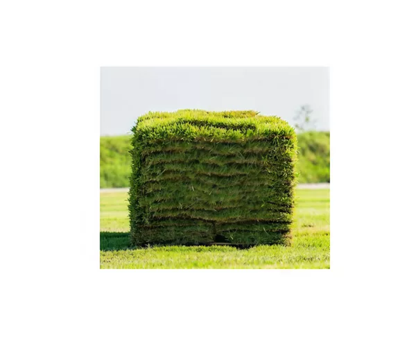 Sod
