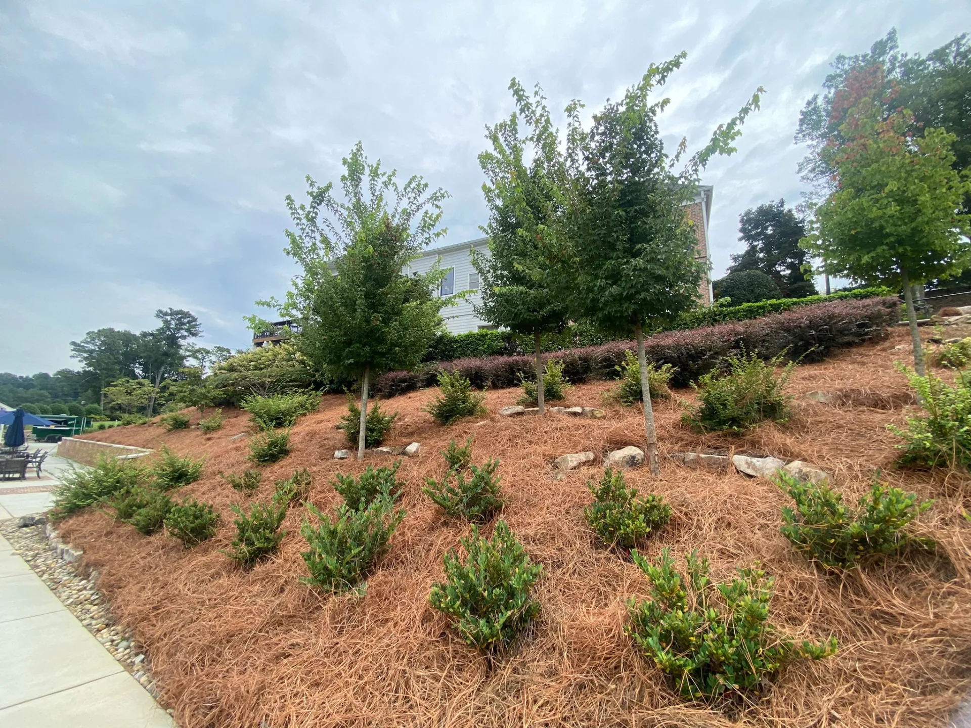 pine straw installers